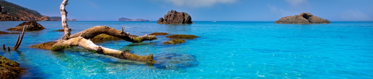 Agroturismo en Ibiza. Es Vedrà y es Vedranell